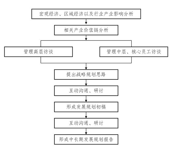 中至远集团:国有企业 十四五战略发展规划报告编制服务方案