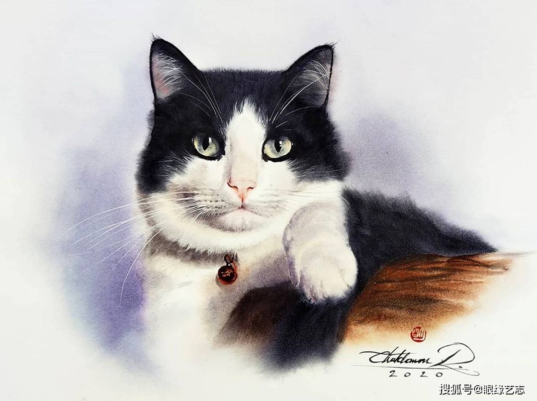 猫咪救助 8421eb339cde4bc8b9fd9a32b60cf778.jpeg