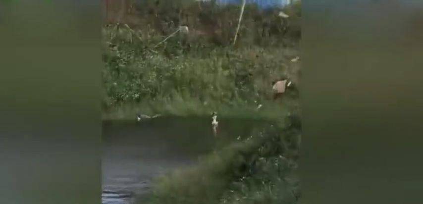 梦境之谜,与亲人共钓,两鱼塘的生死交织 梦境之谜,与亲人共钓,两鱼塘的生死交织