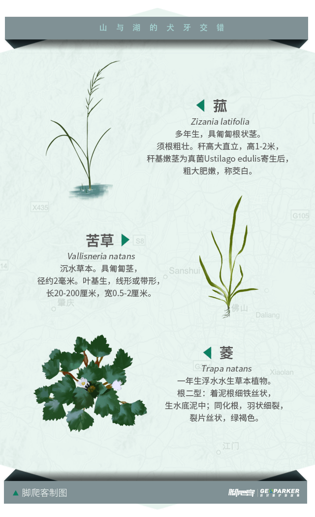 a850f968a5a147f6911900eb3ff92cdb.png