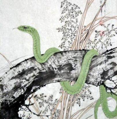 属蛇的人是哪年的 f80ff6922f2042fea9043c2dfa6af695.jpeg