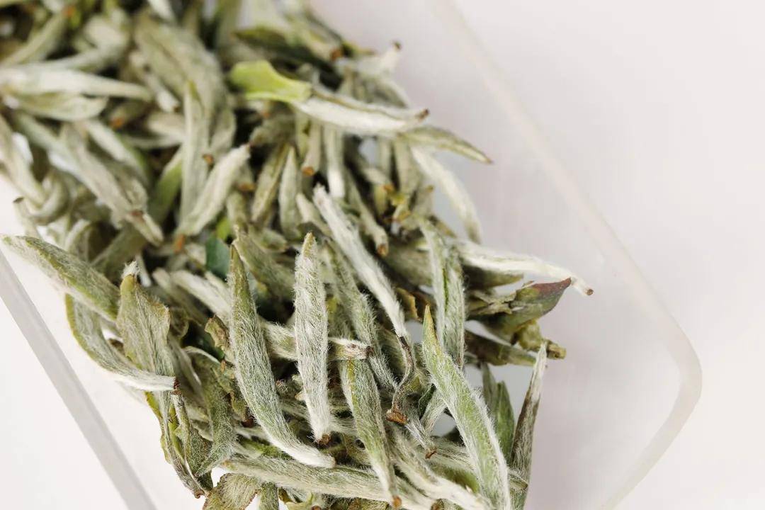 三十年福鼎白茶多少钱一斤三年白茶和十年白茶的区别有哪些