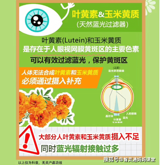 49c3b44116c740209a958ddd1439eca8.png
