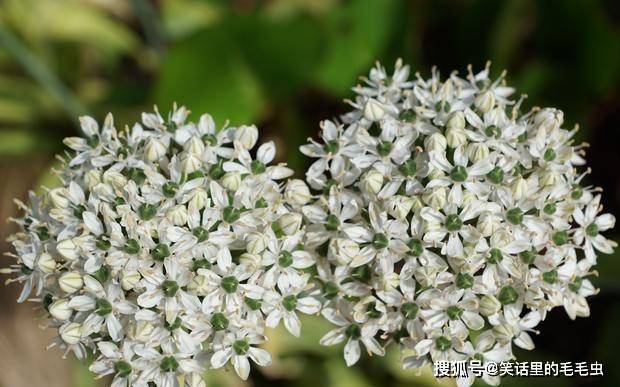 7月18日星座运势 双子齐心协力 狮子脚踏实地 摩羯积极主动 时候