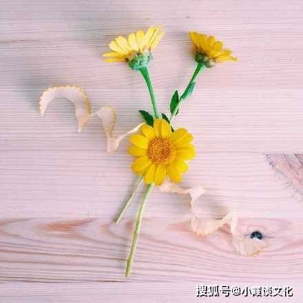 内涵段子很火的语句_人生遗憾与惊喜_人生哲理感悟