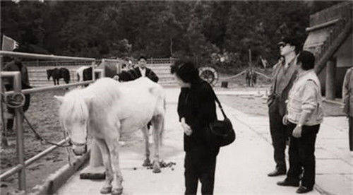 白龙马排行_86版西游记中的“白龙马”,被吸血10年惨死在山洞,导演杨洁泪崩