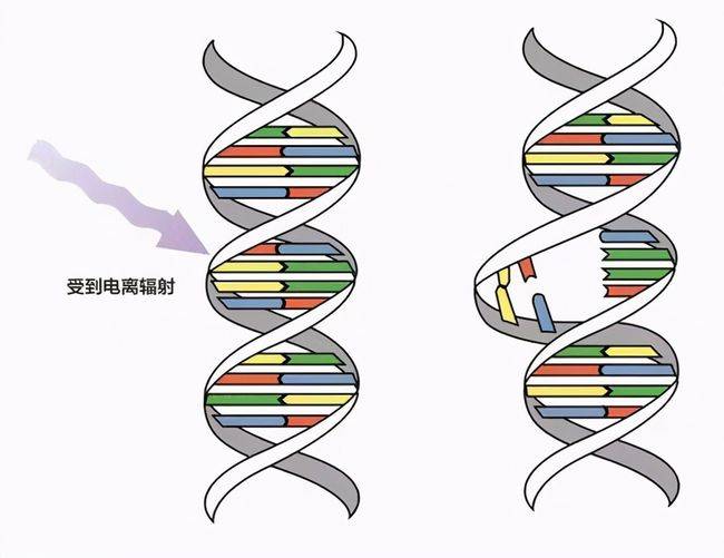 就拿日本政府来说,它们规定的是不超过每公斤100贝克勒尔.