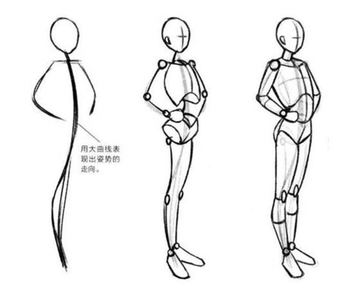 万物皆有形范芳医生谈人体轮廓美