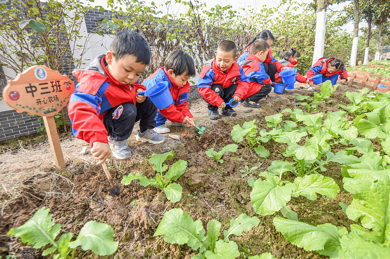 隐患|幼儿园超前教育隐患多，二年级或将成为危害期，家长还被蒙在鼓里