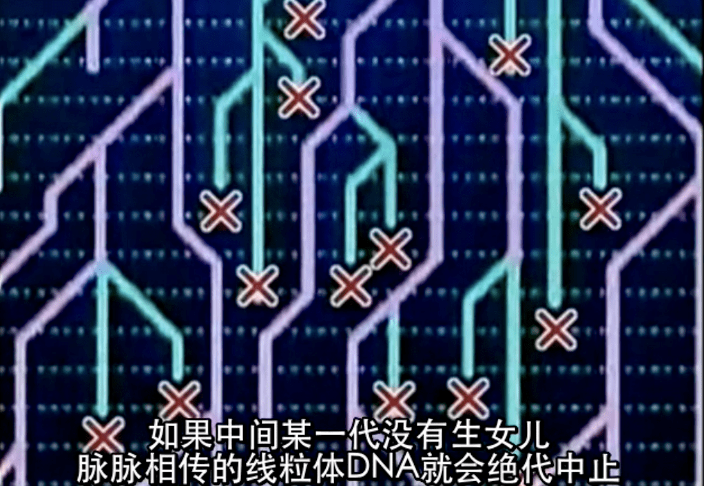 天海佑希|天海佑希做DNA溯源在西藏找到失散3万年的姐妹，别说俩人还真有点像…
