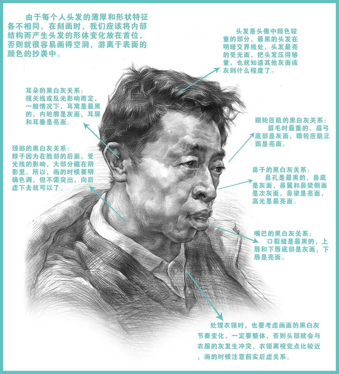 同年美术素描基础知识教你处理素描头像的黑白灰关系