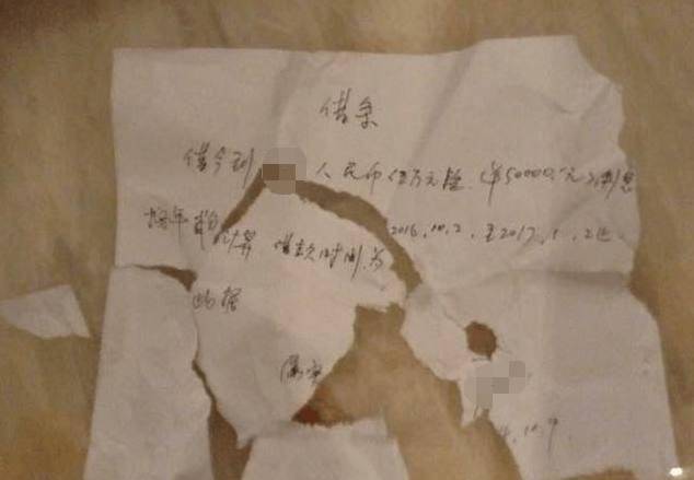 哈士奇撕爛主人5萬元借條, 一臉無所謂的樣子讓主人恨不得扔了它 萌趣萌寵 第3张