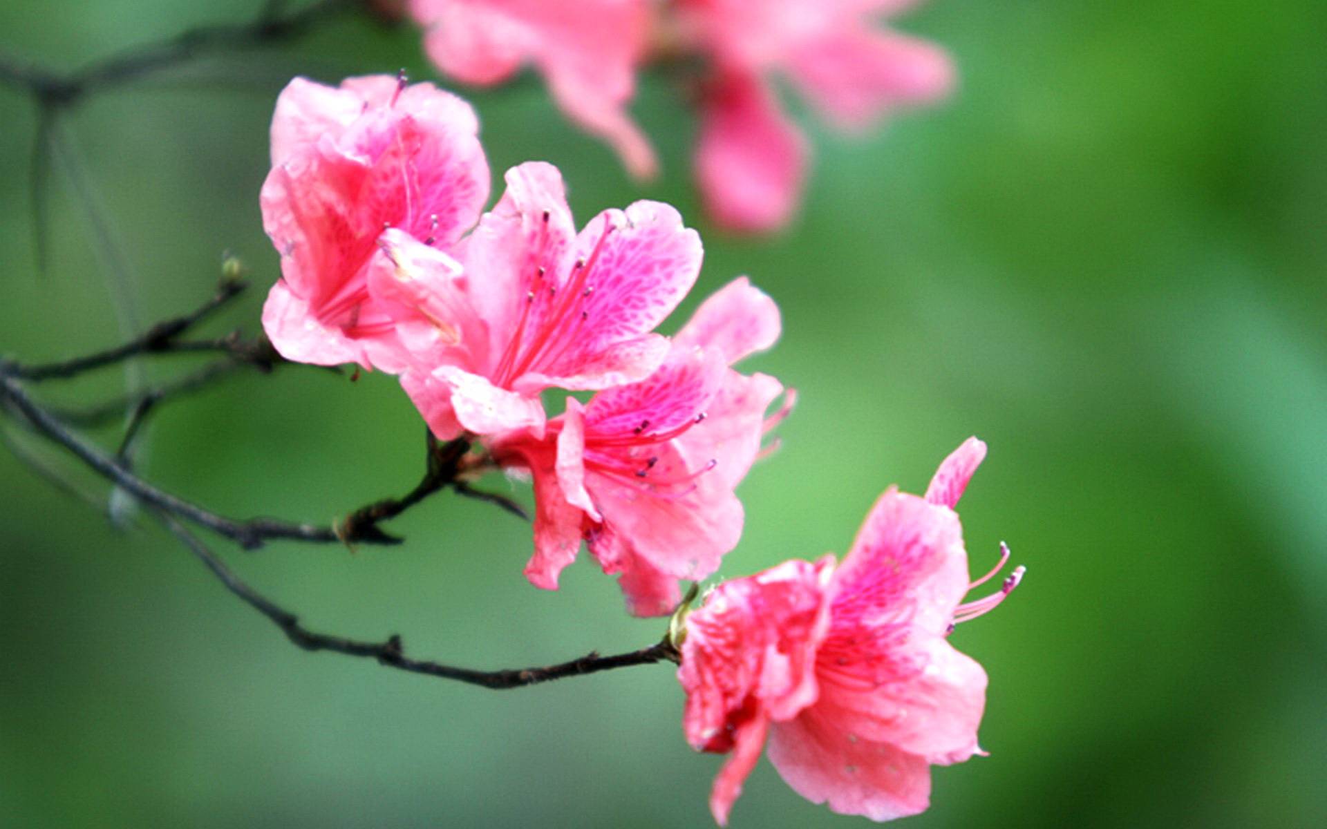 7月5日 11日星座运势 白羊座思维活跃 水瓶座主次分明 未来