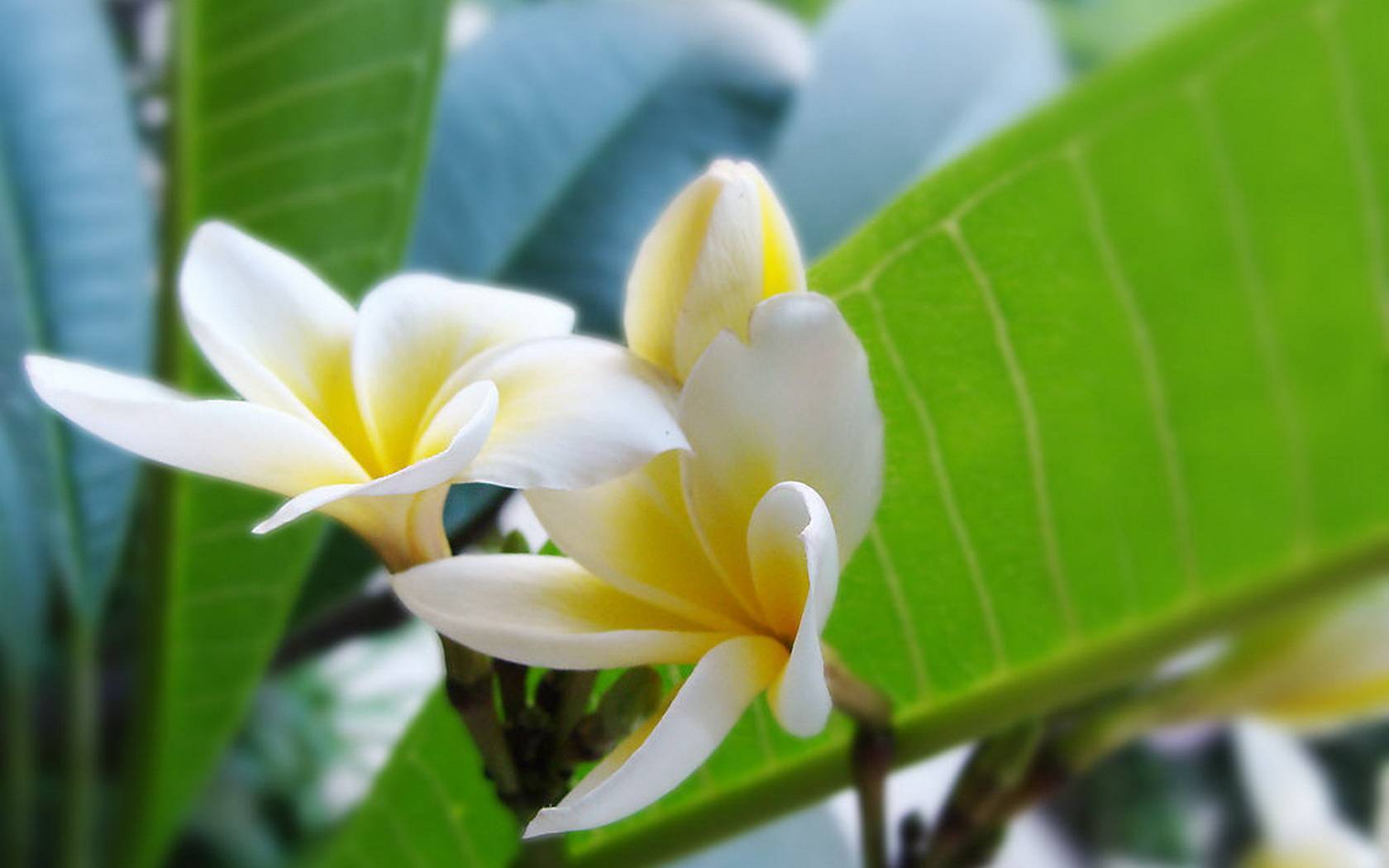 7月5日星座运势 金牛控制情绪 巨蟹目光长远 双鱼亲力亲为 工作