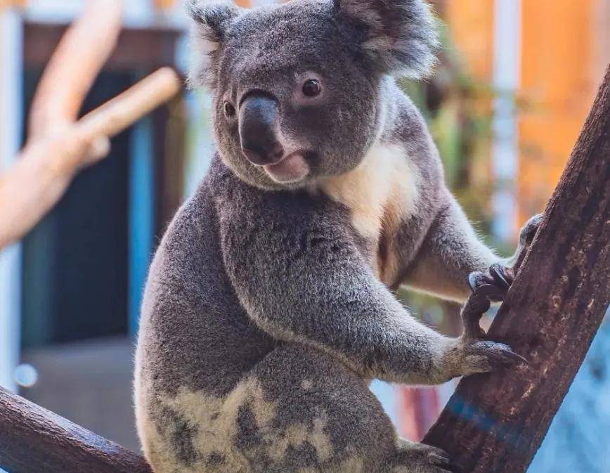 in|『缤纷夏日 七彩童年』吉利汽车无锡同元员工亲子拓展 in 南京！