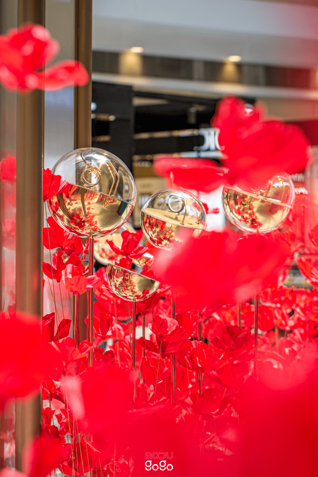 ��ɫ�����ս��Ϻ����������ŷ���Ѿ�����ѧ֮��