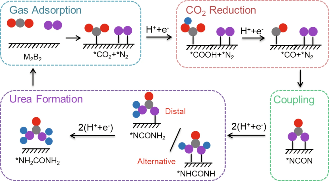 李亚飞团队今日nature子刊电化学合成尿素