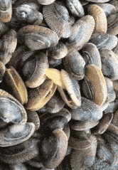 差不多|搞笑GIF：你把衣服脱下来，我帮你洗吧！