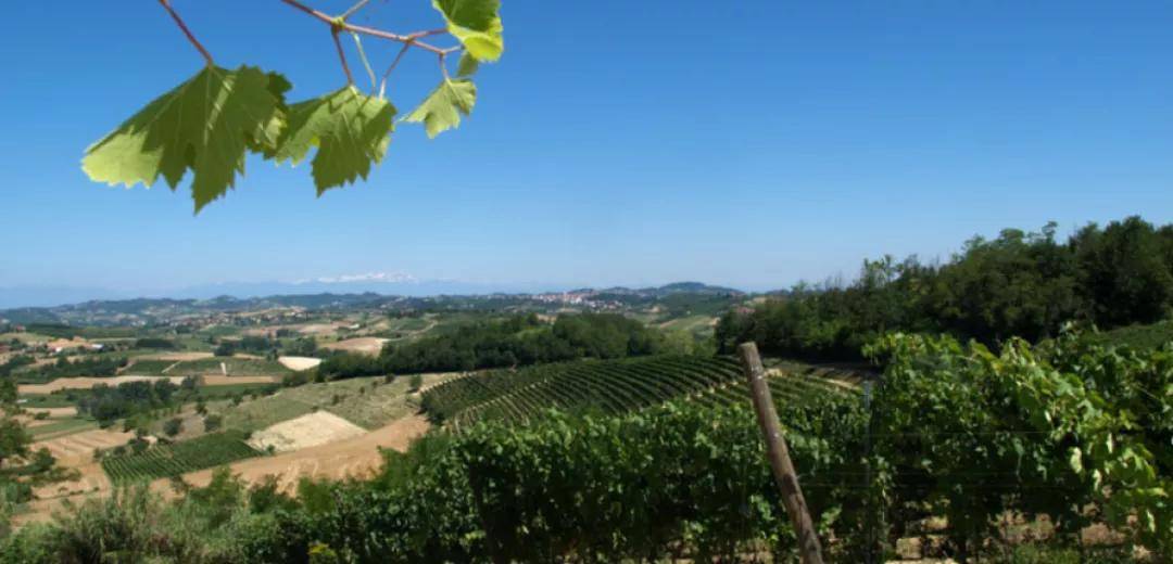 家族|托斯卡纳名庄大赏，安东尼世家携旗下索拉雅，与麓鹊联手来袭！