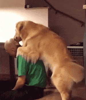 e62fcbce61d642468a9f8d502c95535d.gif