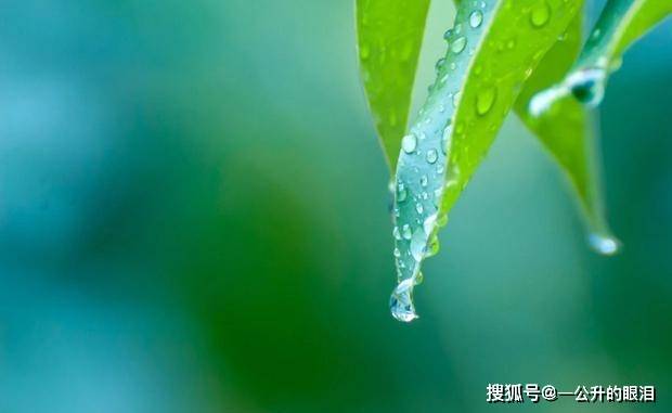 811f1aefa70340c9a990fb74f4ae130e.jpeg