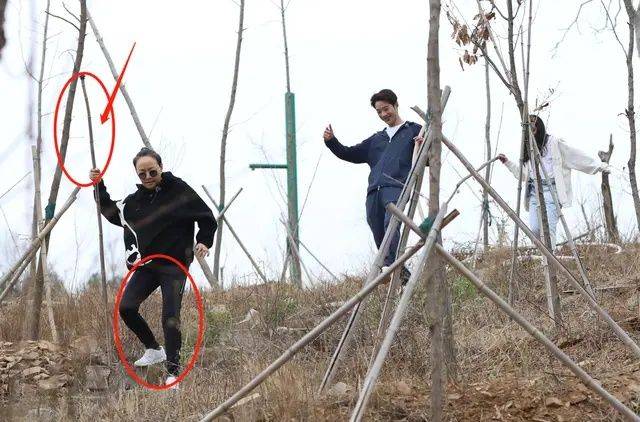 黑色|宋丹丹杨紫罕见同框，脸出油肚腩凸起来了，一个比一个胖的真实！