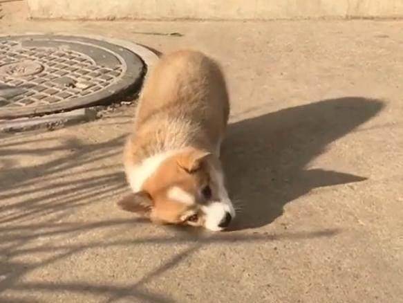 观点评论|不知道这6根铁链能否锁住这妖兽，网友：金刚伏魔锁妖大阵？