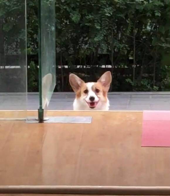 观点评论|不知道这6根铁链能否锁住这妖兽，网友：金刚伏魔锁妖大阵？