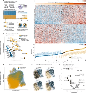亚型|单细胞测序最新研究进展(2021年7月）