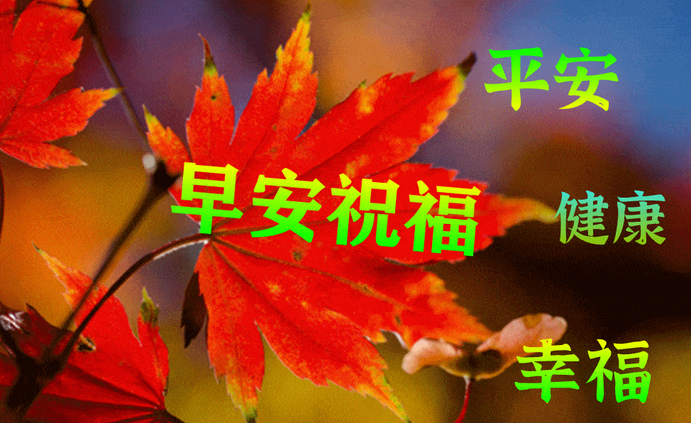 2012年7月10日星期六特别漂亮的早上好动态图片带字和鲜花,早安励志