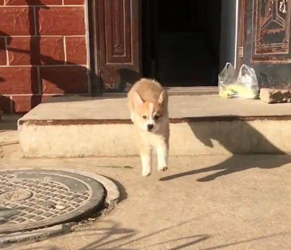 观点评论|不知道这6根铁链能否锁住这妖兽，网友：金刚伏魔锁妖大阵？