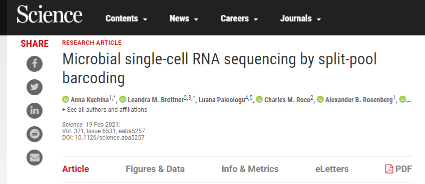 亚型|单细胞测序最新研究进展(2021年7月）