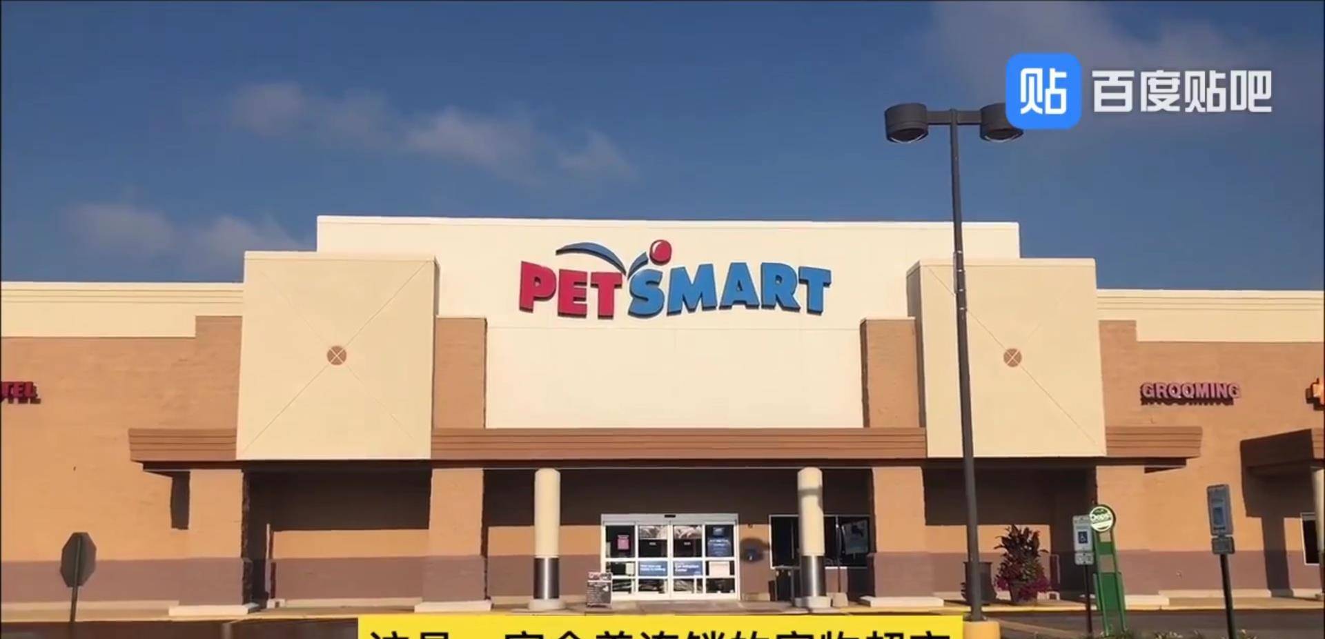 体型|国外最近很火的宠物幼儿园，狗狗也上学了！贫穷限制了我的想象