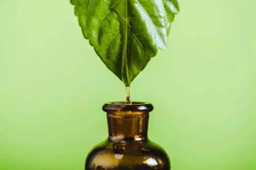 那么防爆测试就是安全的,但如果是柠檬这种单萜烯含量非常高的精油