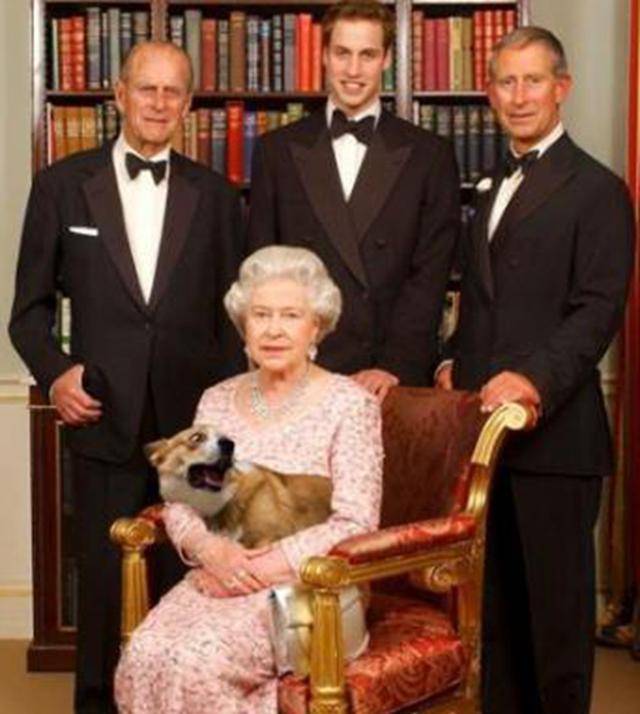 带着|英国女王的柯基都是“戏精”,眼神带戏,姿势抢镜!