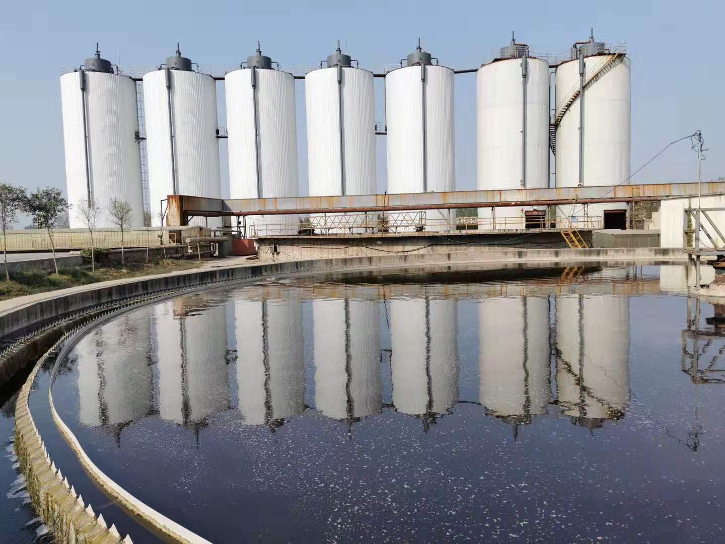 食品加工厂工业废水常见处理技术讲解