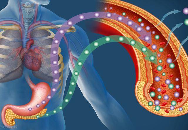 治疗|2型糖尿病重建案例分析:4年病史,停胰岛素,血糖从19降到5.6