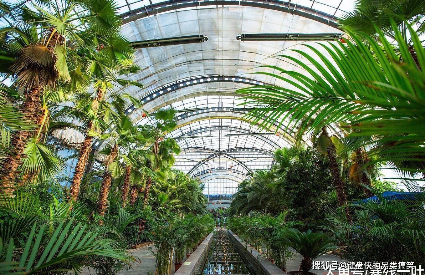 原创中国北方城市投资2.6亿,建亚洲最大室内热带植物园,看看有什么