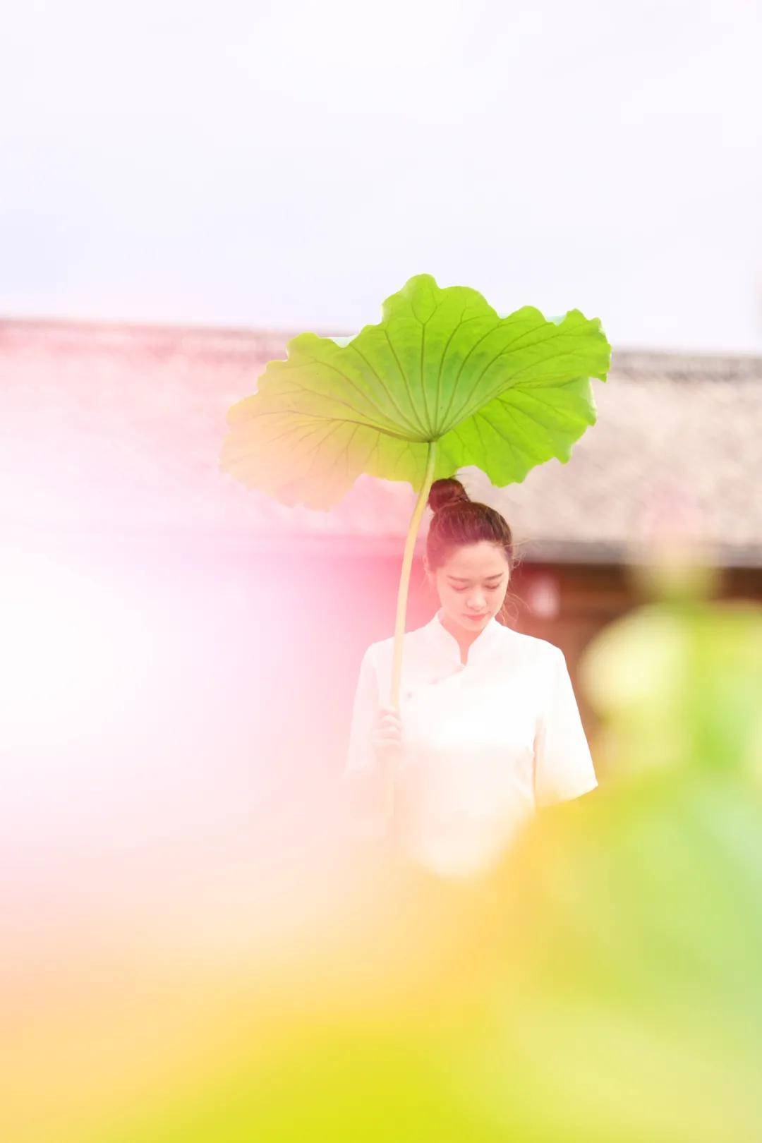 成为了|和顺古镇 | 水上印象 又是一年赏荷季