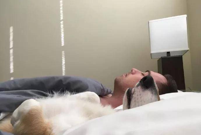 小汪|最容易跟宝宝达成共识的原来是狗