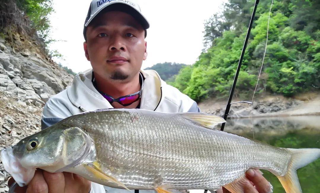 浮釣鰱鱅翹嘴的5個小技巧,野釣黑坑都有奇效,每次都能爆護_餌料