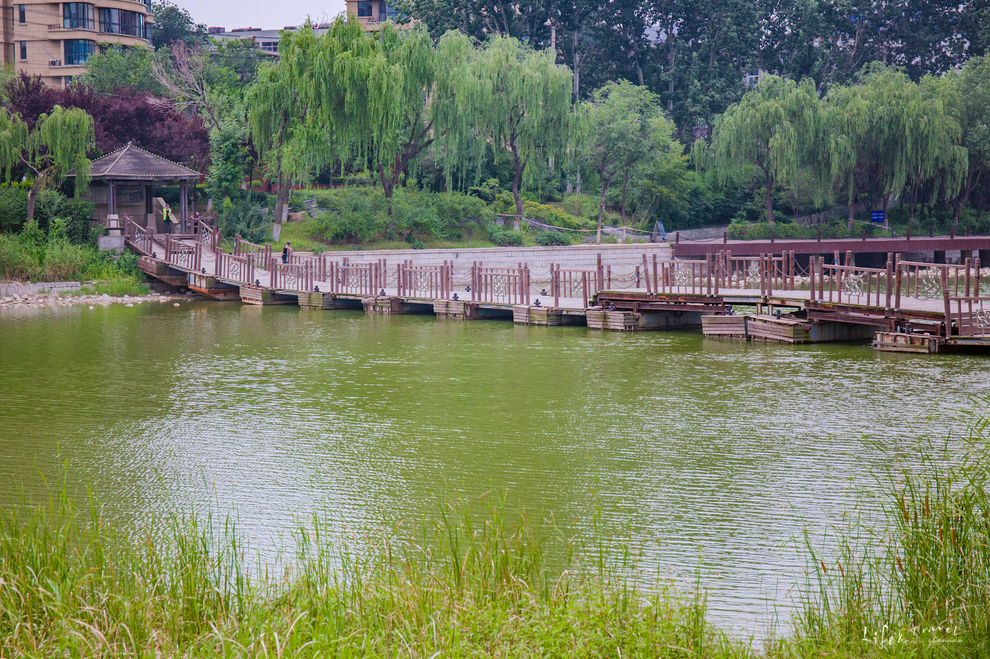 潍坊这个免费公园，建成半个世纪之久，是闹市中的一片静谧之地