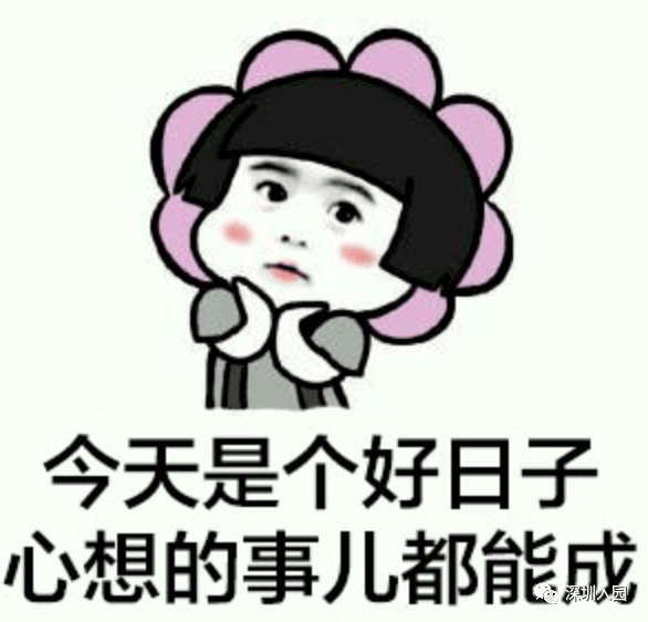 公众|公布录取！2021深圳6区公办幼儿园秋季录取结果齐发！注意接收电话、短信！