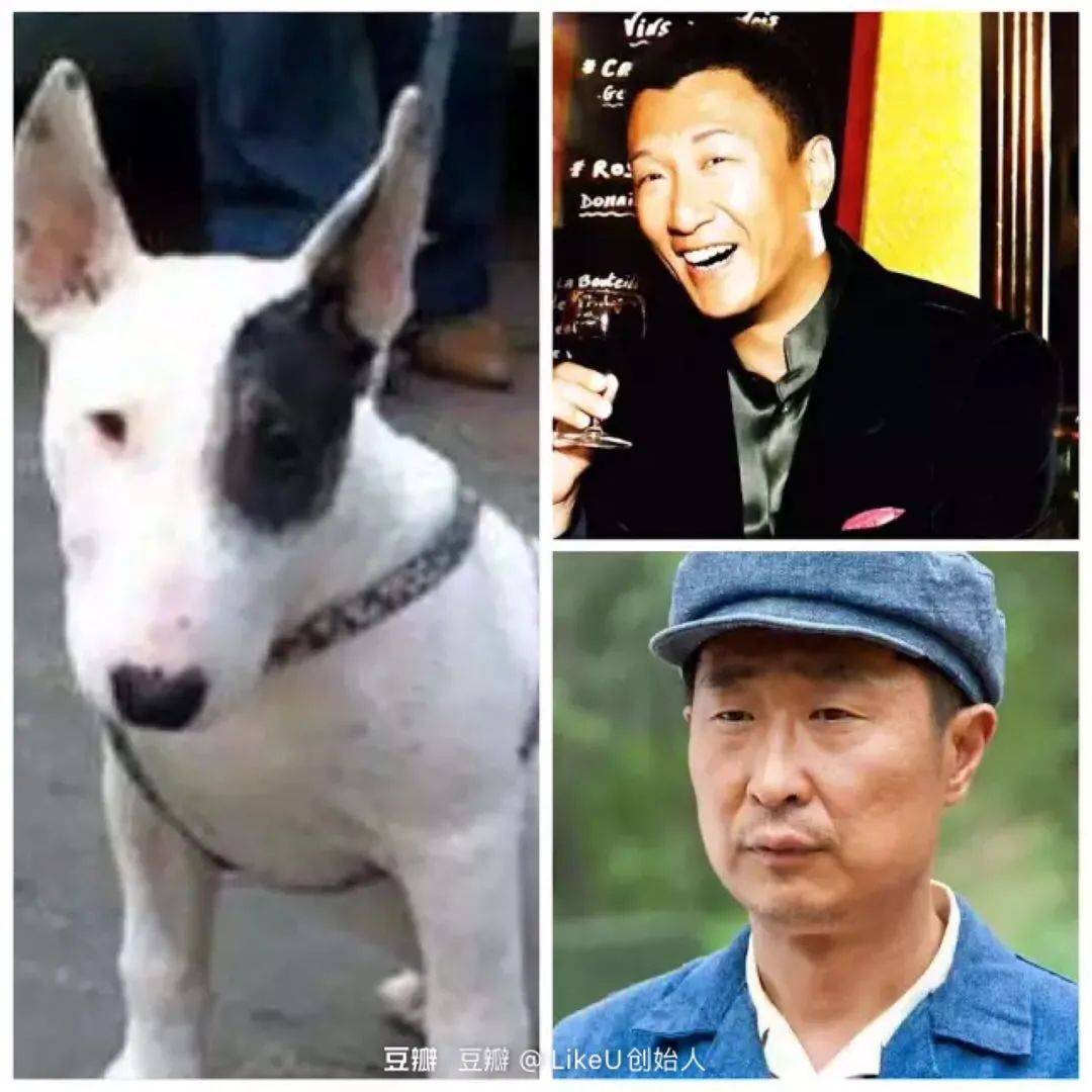 动物系艺人的专属美貌大赏!_鲶鱼