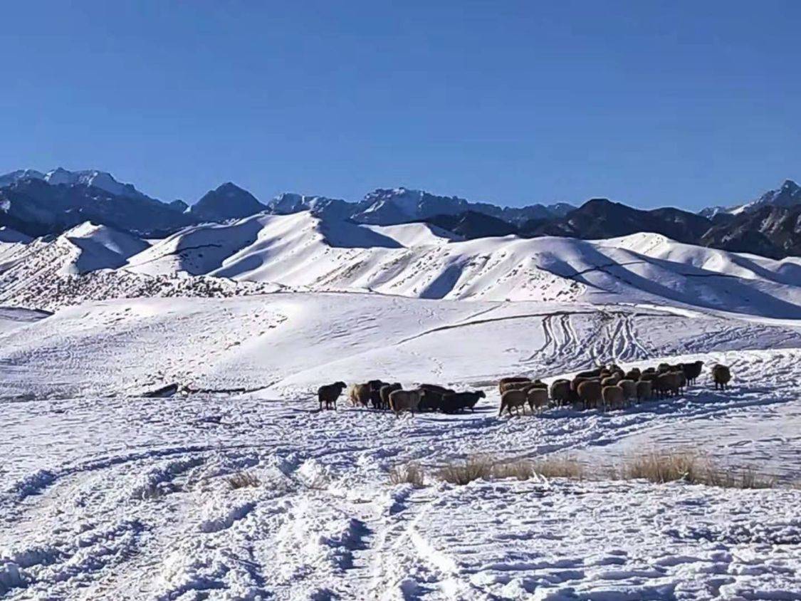 天山雪:我曾亲历"六月飞雪"_新疆