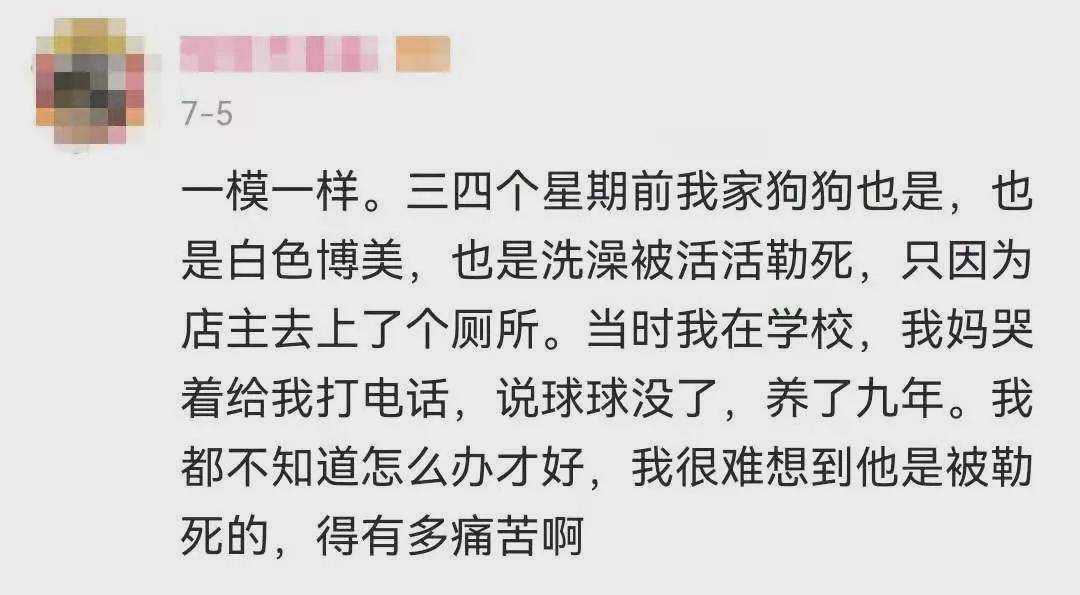 “我把狗狗送去洗澡，却被宠物店活活勒死！！”