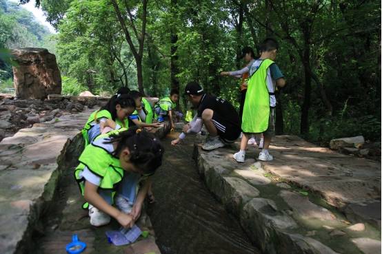 神兽|旅行：带孩子过一个有意义的暑假