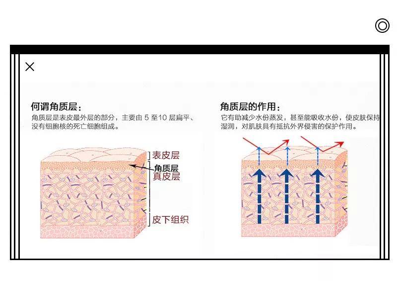 夏天|夏日护肤，如何保持肌肤水感？瑞可娜告诉你！