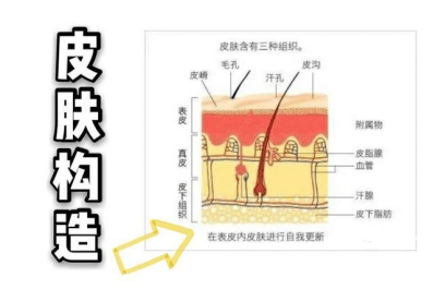 产品|私域电商伊的家，如何用专业再造客户忠诚度？