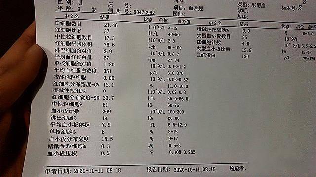 食堂|河北一幼儿园现臭肉馅，园长将“恶臭”命令发到家长群
